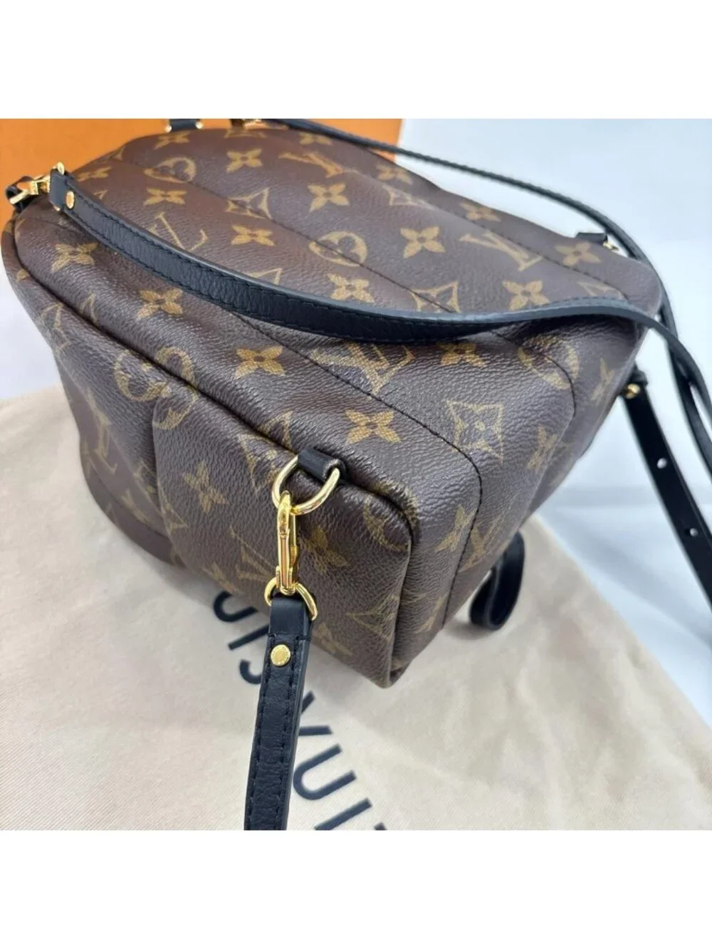 Louis Vuitton Palm Springs Mini Backpack Monogram